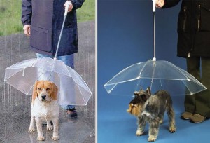 ombrello per cani ombrello per cani
